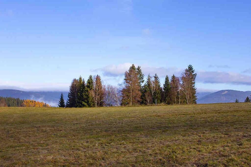 Kořenov 10 chalupa na horách Exterior foto